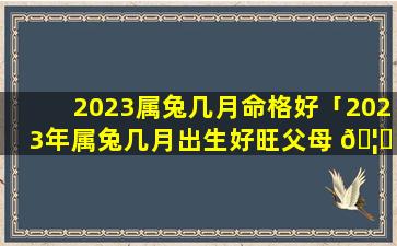 2023属兔几月命格好「2023年属兔几月出生好旺父母 🦈 」